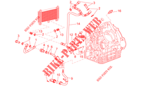 Lubrication for MOTO GUZZI Griso S.E. 8V E3 2015