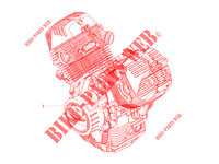 ENGINE   GEAR LEVER   SPROCKET for MOTO GUZZI V85 TT 850 Euro 4 ABS 2019