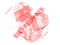ENGINE   GEAR LEVER   SPROCKET for MOTO GUZZI V9 Roamer 850 Euro 5 ABS 2021